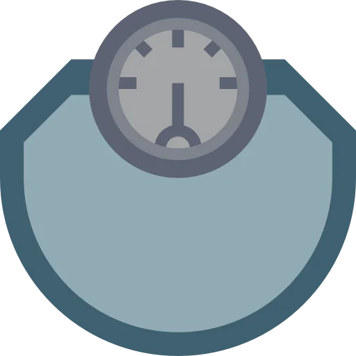 Scale icon