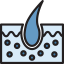 Epidermis icon 64x64