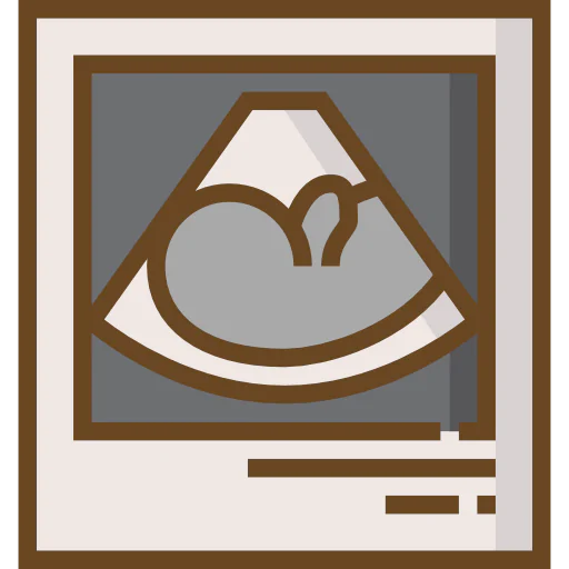 Sonography icon