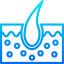 Epidermis icon 64x64