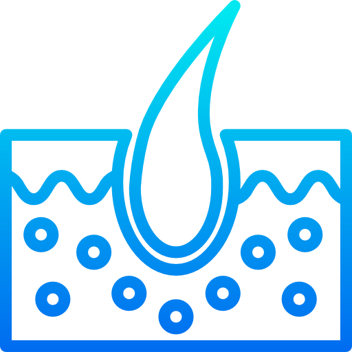 Epidermis icon