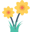 Flower icon 64x64