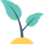 Sprout icon 64x64