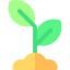 Seed icon 64x64