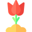 Flower icon 64x64