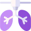 Organ printing icon 64x64