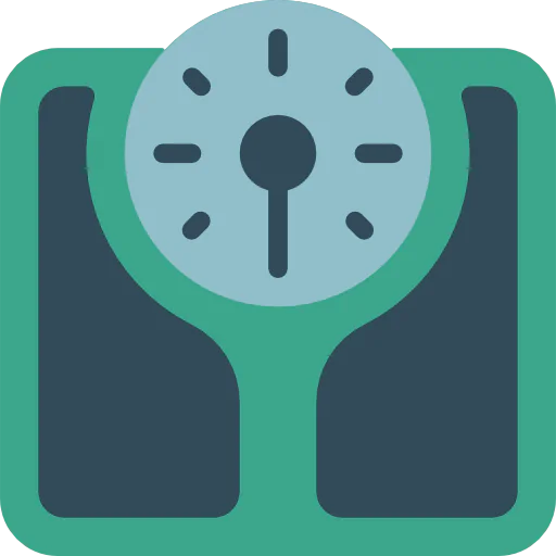 Scale icon