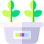 Plant pot icon 64x64