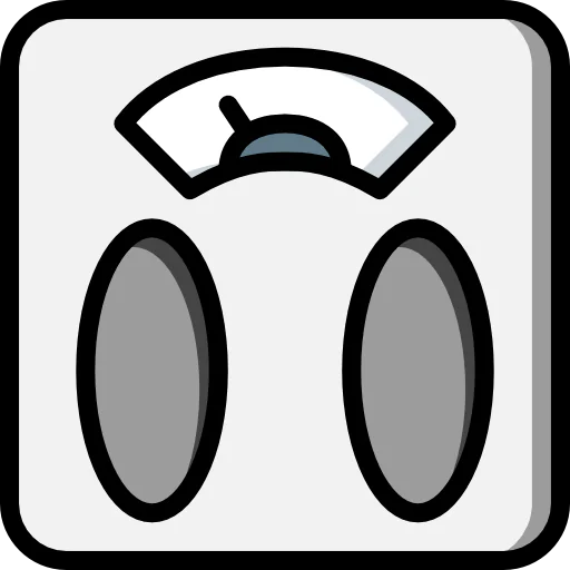 Scale icon