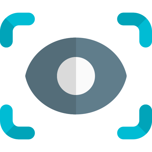 Preview icon