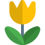 Macro アイコン 64x64
