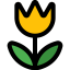 Macro アイコン 64x64