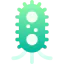 Bacteria icon 64x64
