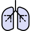 Lungs icon 64x64