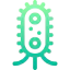 Bacteria icon 64x64