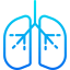 Lungs icon 64x64