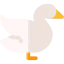 Swan icon 64x64
