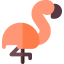 Flamingo іконка 64x64