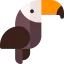 Toucan icône 64x64