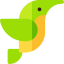 Hummingbird icon 64x64