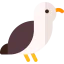 Seagull icon 64x64