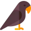 Crow icon 64x64