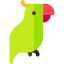 Parrot icon 64x64