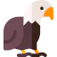 Falcon icon 64x64