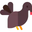 Turkey icon 64x64