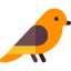 Robin icon 64x64
