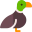 Duck icon 64x64