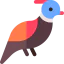 Pheasant icon 64x64