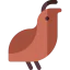 Quail icon 64x64
