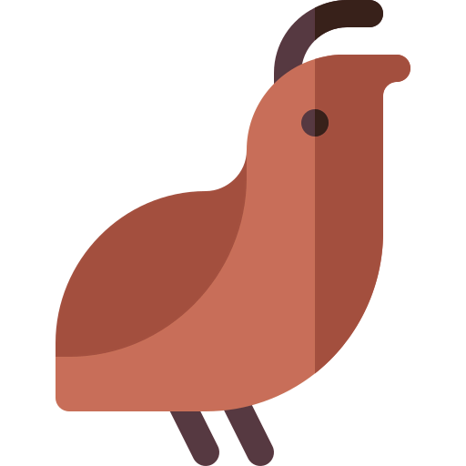 Quail icon