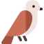 Sparrow icon 64x64