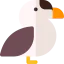Eider icon 64x64