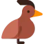 Grebe icon 64x64