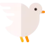 Dove icon 64x64