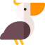 Pelican icon 64x64