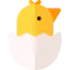 Chick icon 64x64
