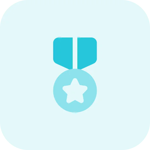 Defense icon