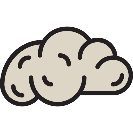 Brain icon