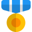 Insignia icon 64x64