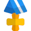 Insignia icon 64x64