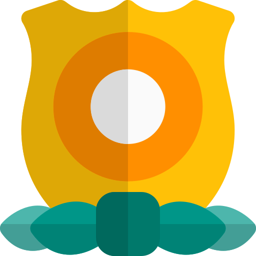 Defense icon
