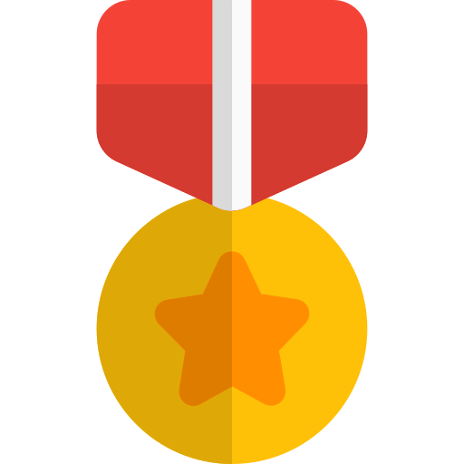Defense icon