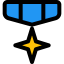 Insignia icon 64x64