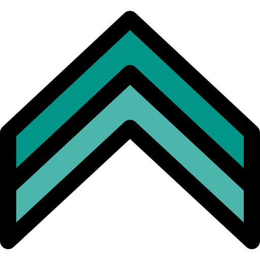Double arrow icon