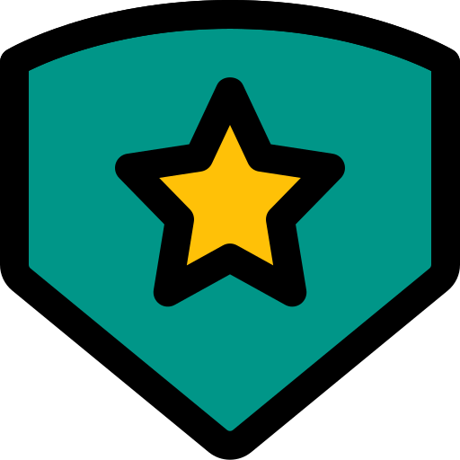 Defense icon
