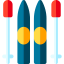 Skii icon 64x64
